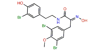 1-Methoxyhemibastadin 2